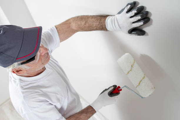 Best Black Mold Removal  in Fort Scott, KS