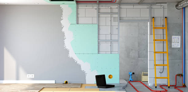 Best Air Quality Testing for Mold Spores  in Fort Scott, KS