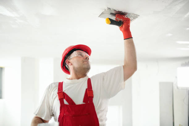 Best Emergency Mold Remediation  in Fort Scott, KS