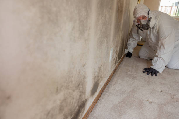 Best Airborne Mold Testing  in Fort Scott, KS